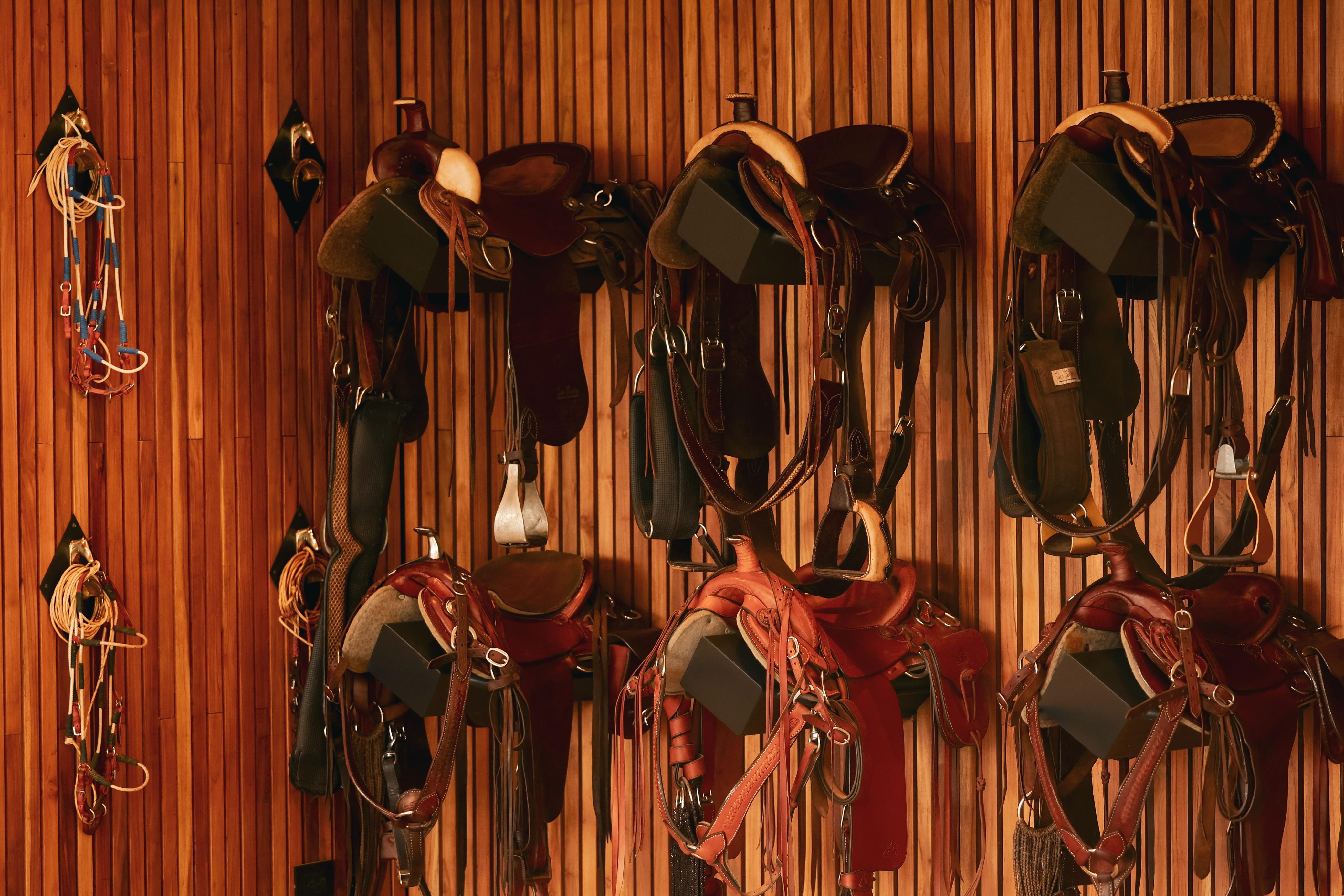 ¿Quiere cabalgar? Así debe escoger su montura según la actividad que vaya a hacer